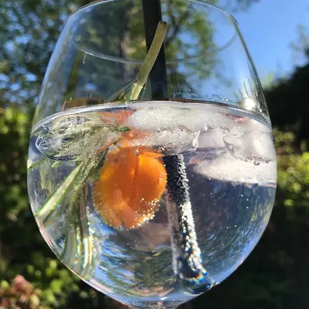 Nocleg ze śniadaniem Logeren Bij Lies 3*