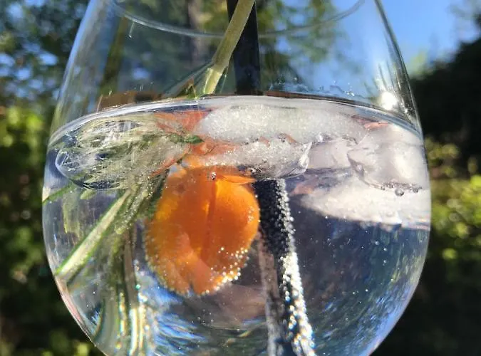 Frühstückspension Logeren Bij Lies 3*